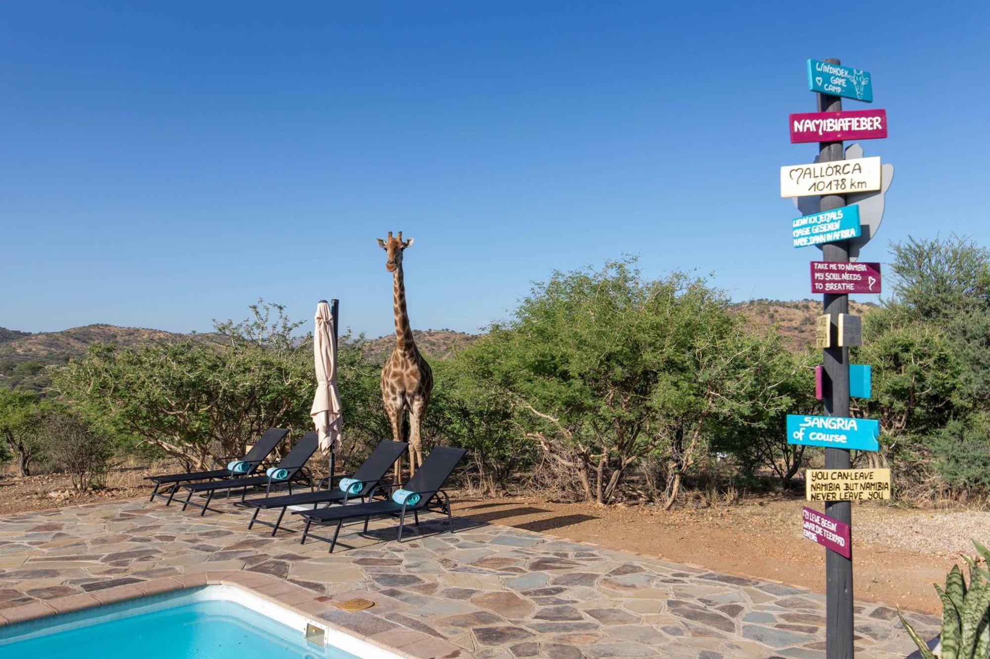 Windhoek Game Camp Lafrenz Township Екстериор снимка