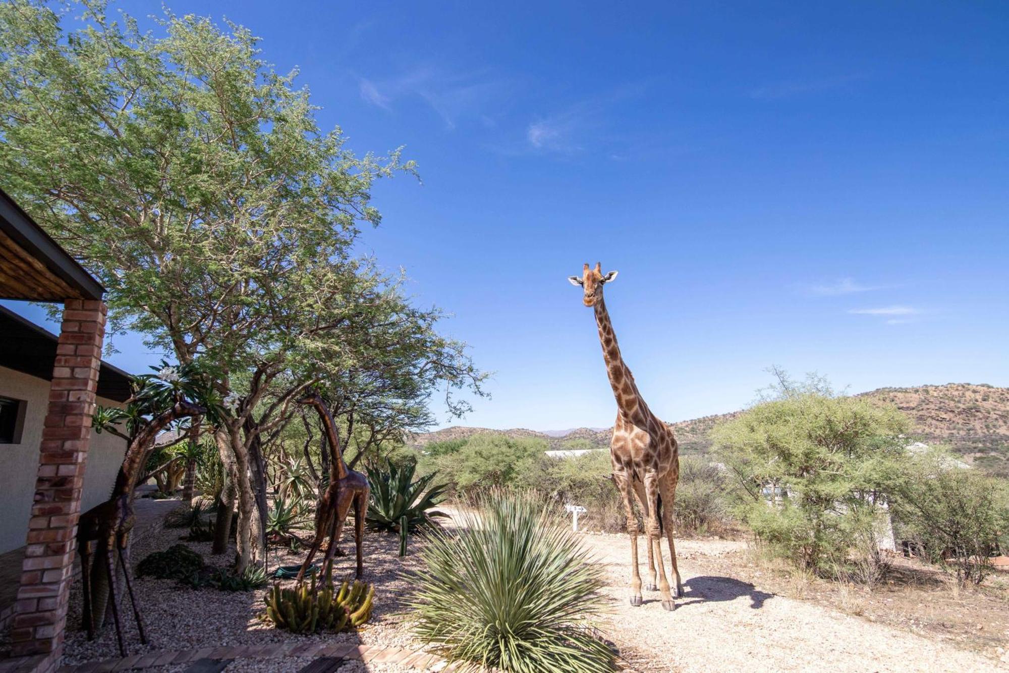 Windhoek Game Camp Lafrenz Township Екстериор снимка