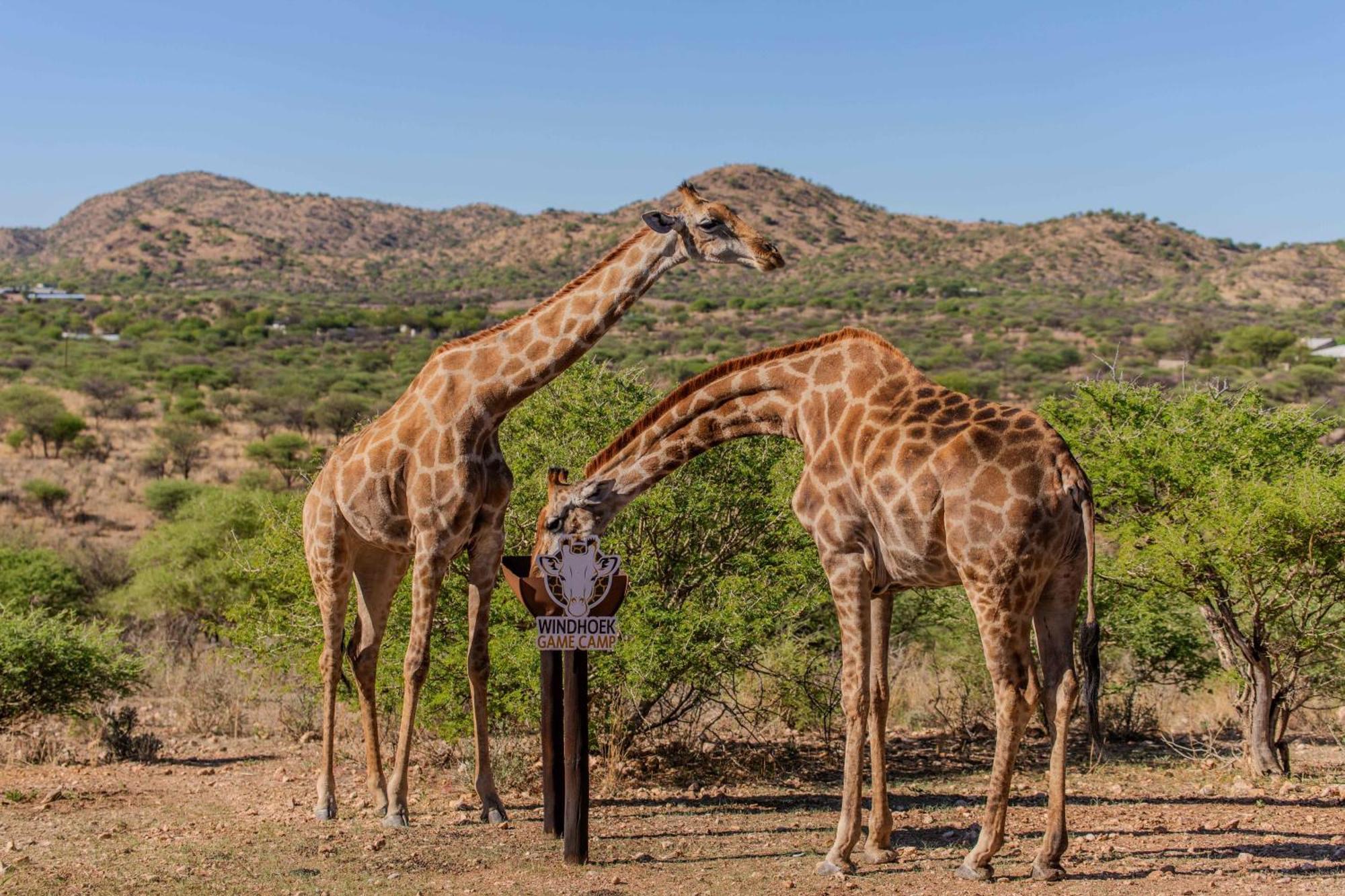 Windhoek Game Camp Villa Lafrenz Township Екстериор снимка