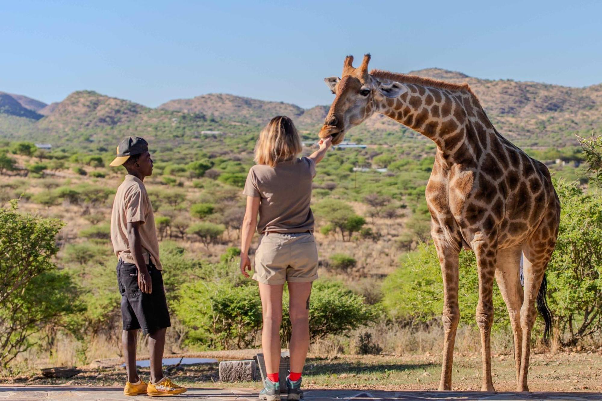 Windhoek Game Camp Lafrenz Township Екстериор снимка