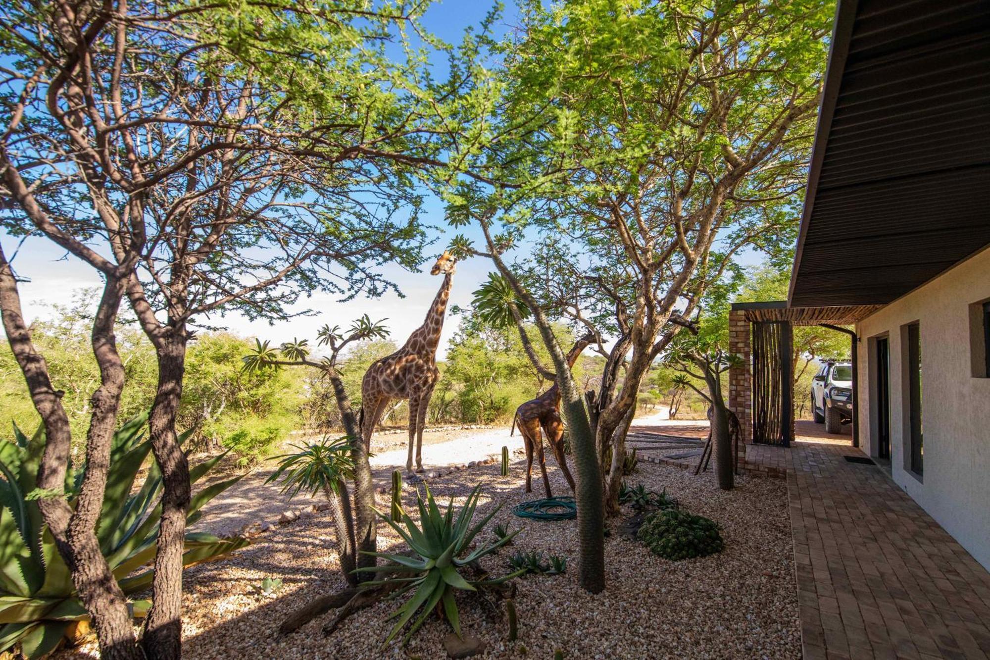 Windhoek Game Camp Lafrenz Township Екстериор снимка