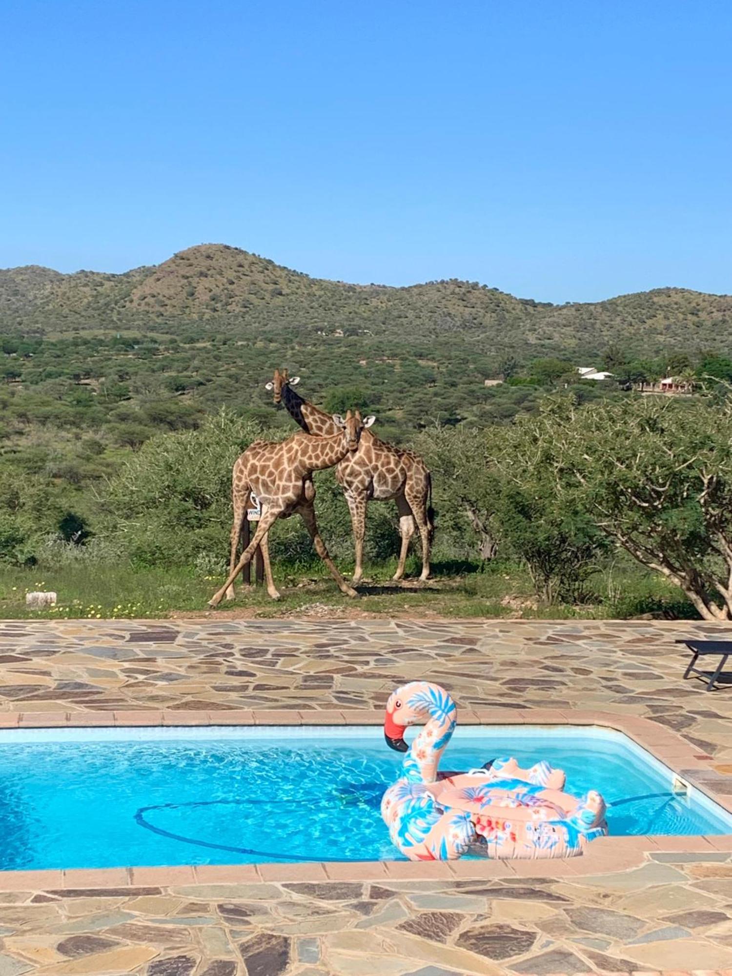 Windhoek Game Camp Lafrenz Township Екстериор снимка