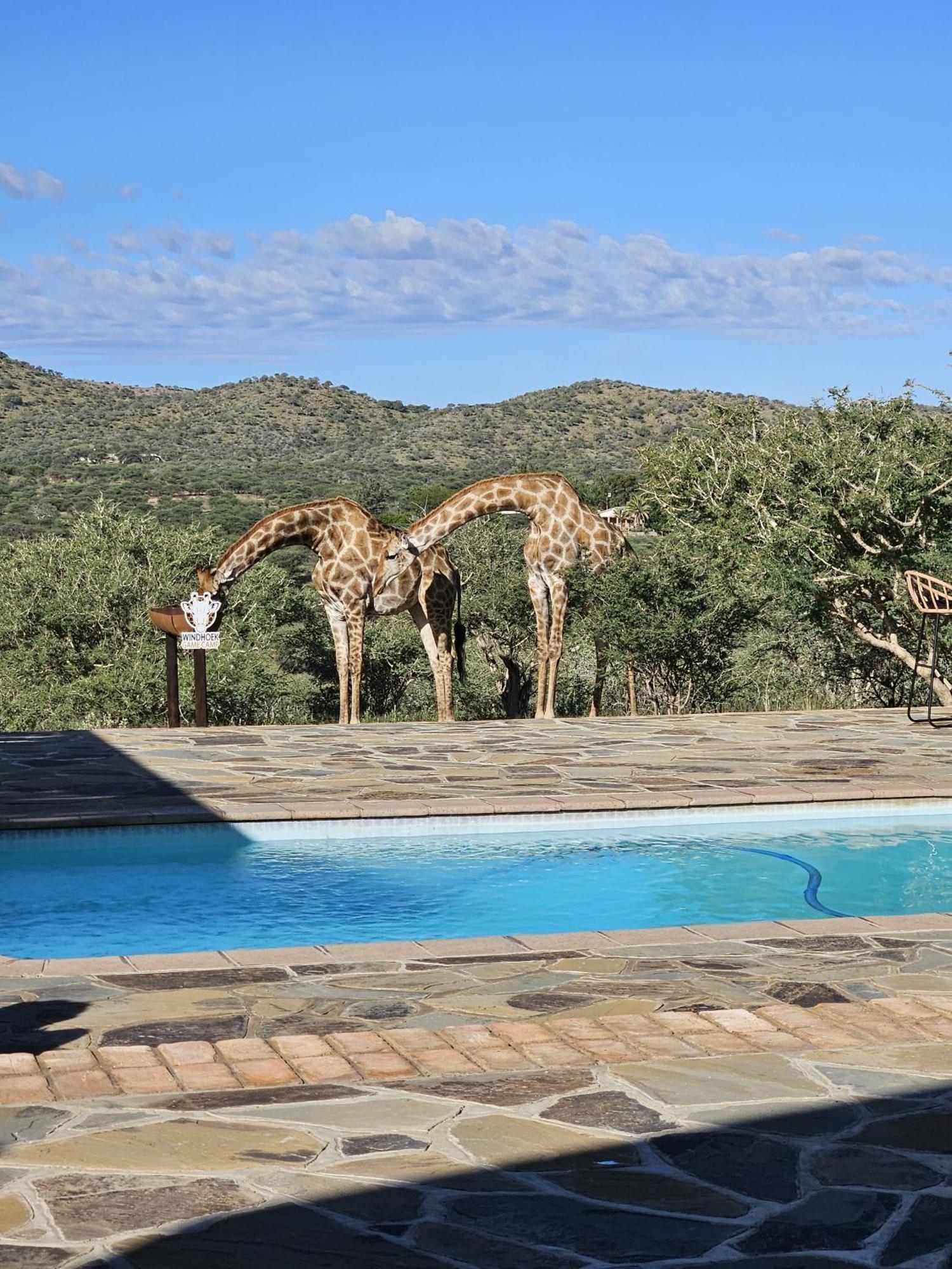 Windhoek Game Camp Lafrenz Township Екстериор снимка