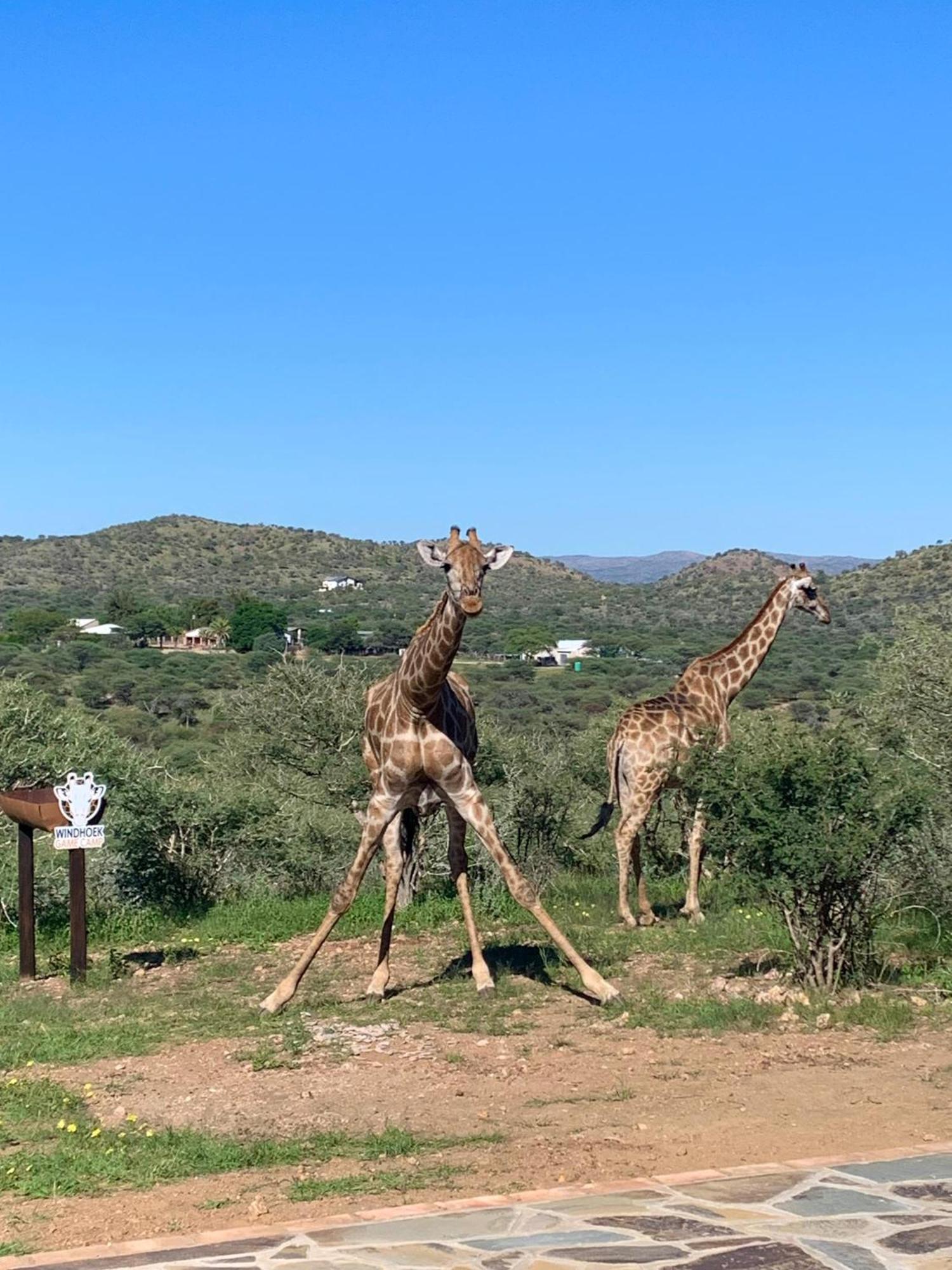 Windhoek Game Camp Lafrenz Township Екстериор снимка