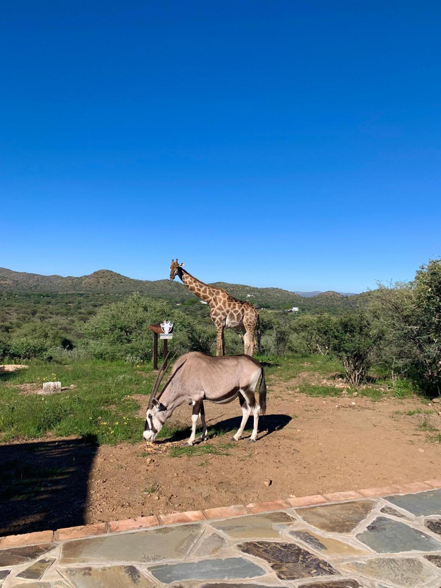 Windhoek Game Camp Villa Lafrenz Township Екстериор снимка