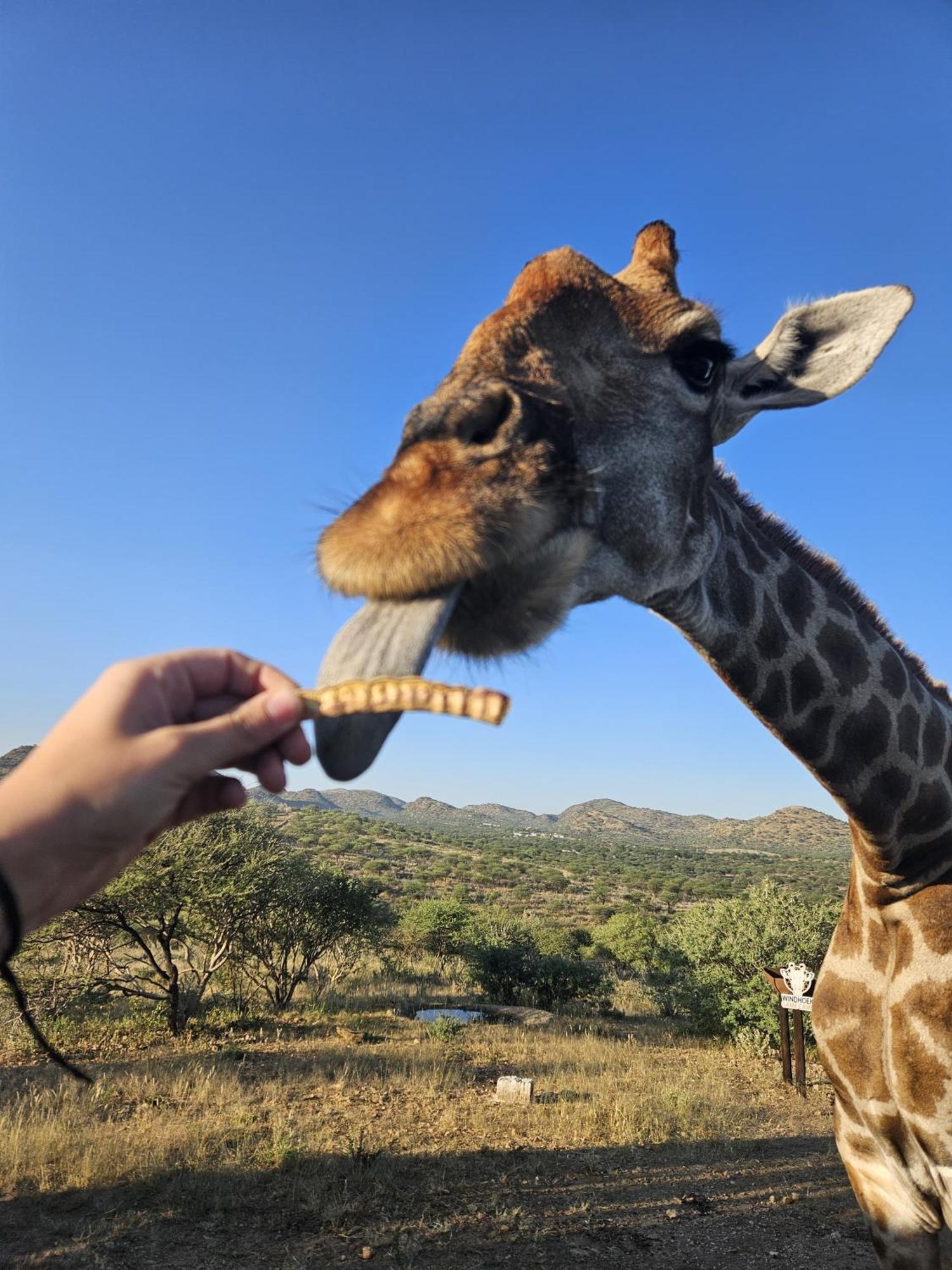Windhoek Game Camp Lafrenz Township Екстериор снимка